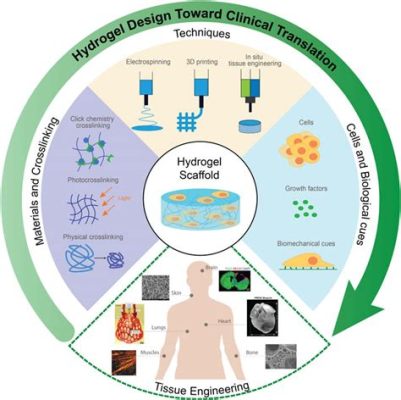 Hydrogel w Inżynierii Tkanek - Rewolucja w Regeneracji?